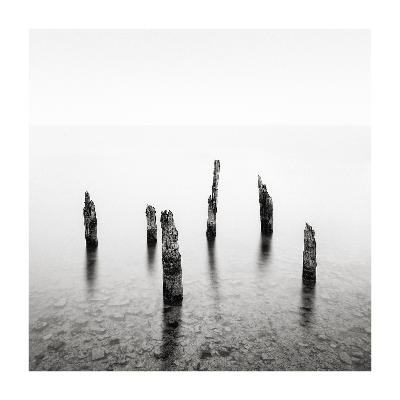 #40 - Horizon