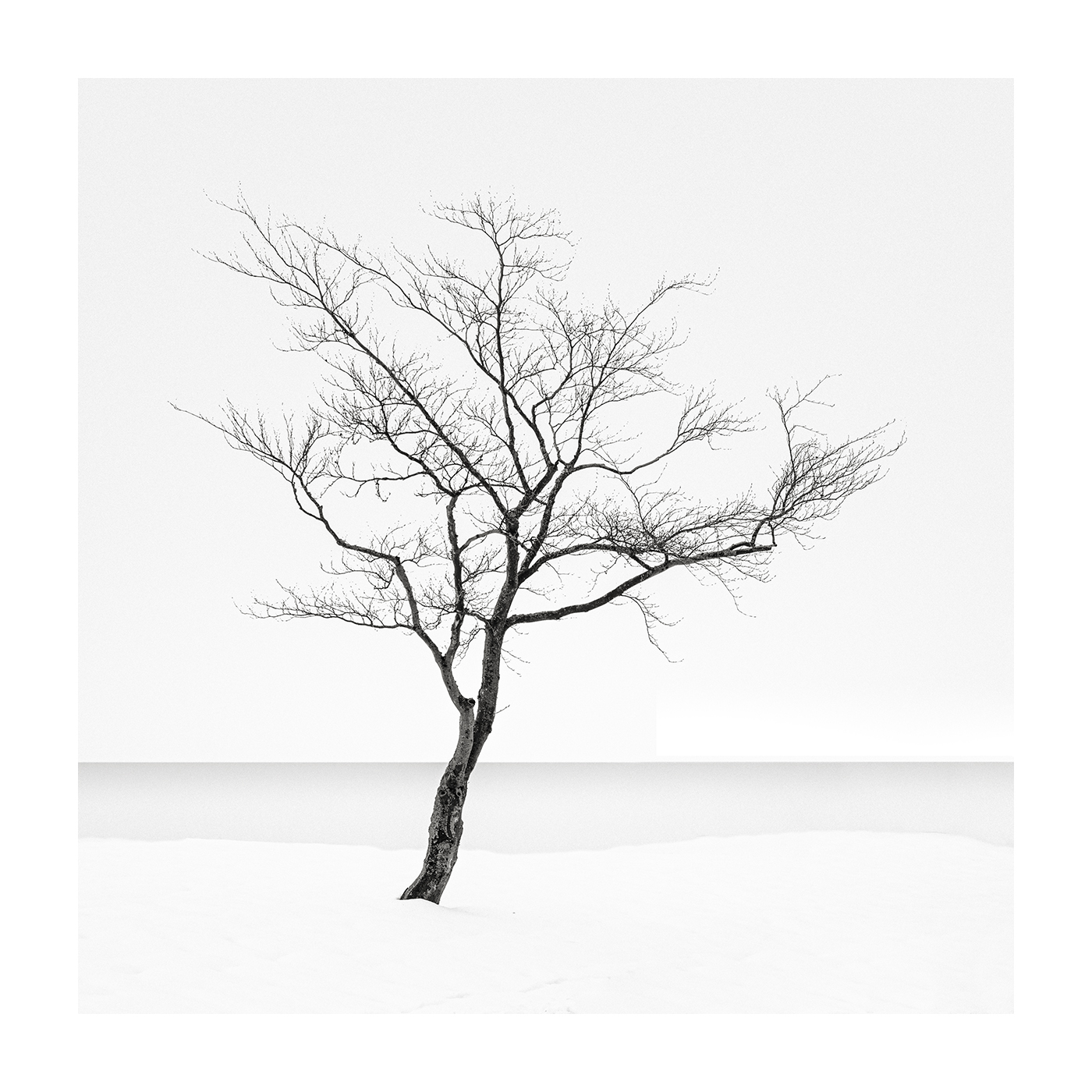 #49 - Winter