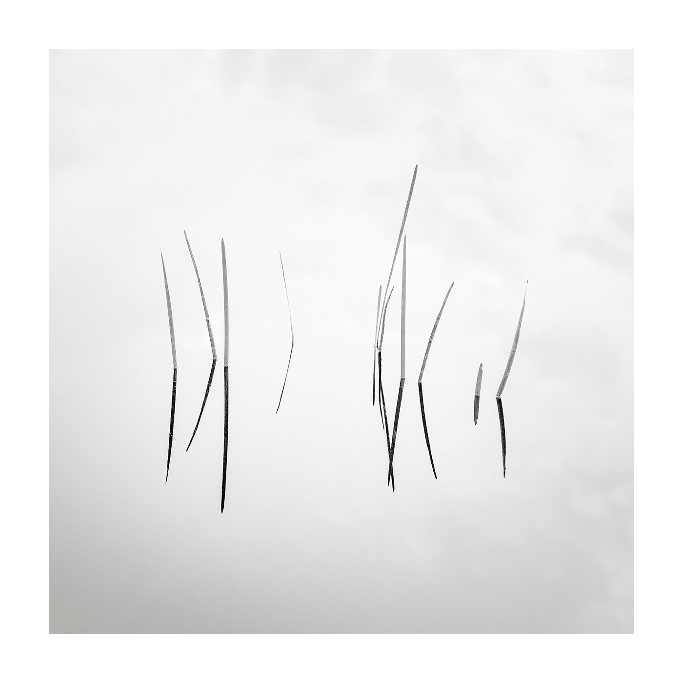 #8 - Straw